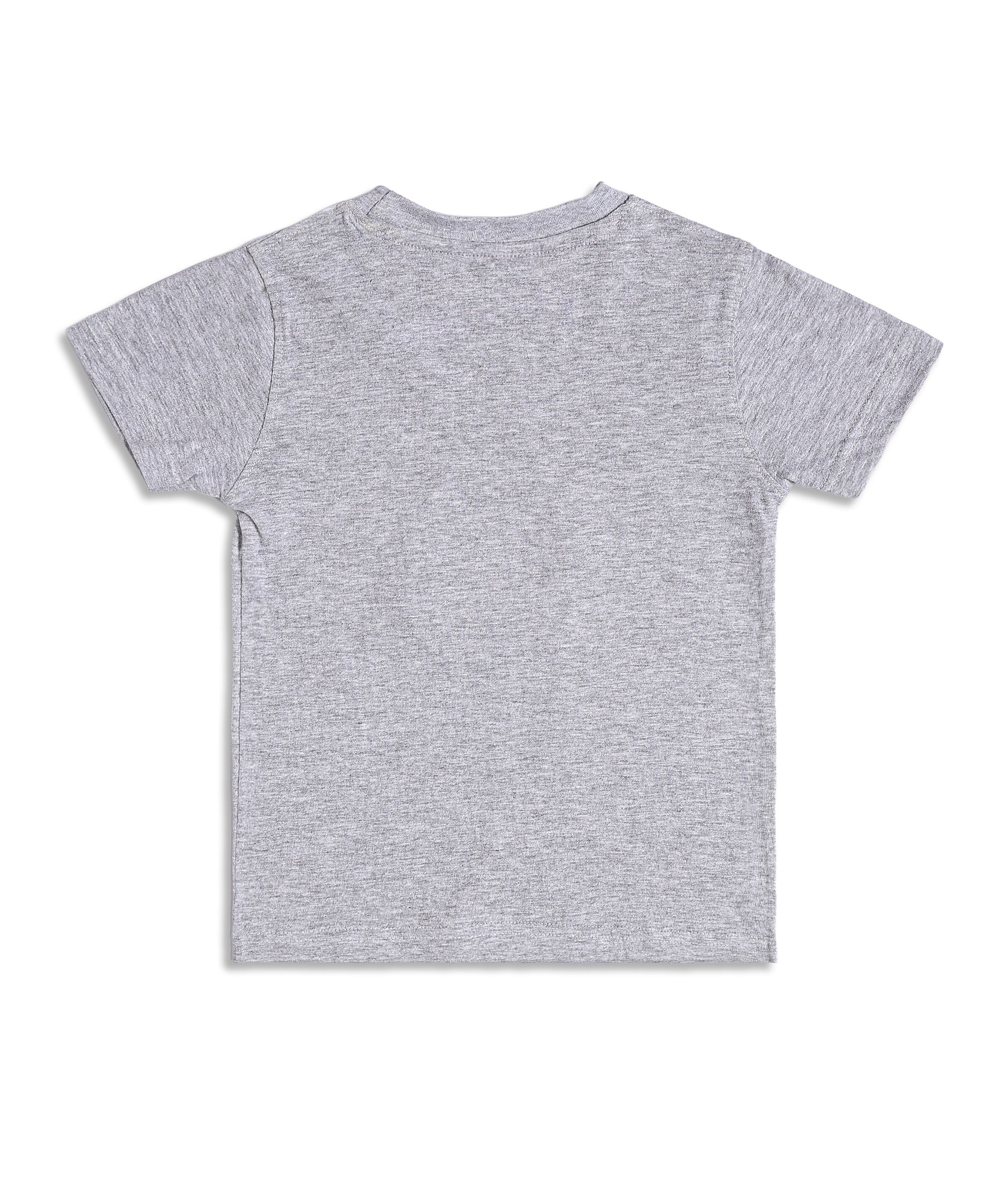Grey T-Shirt